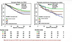 Герминальные мутации и злокачественные новообразования. Значение для патогенеза, диагностики и лечения злокачественных новообразований - Фото 9