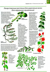 Здоровое тело. Практическое руководство по уходу за телом, профилактике и лечению заболеваний - Фото 6