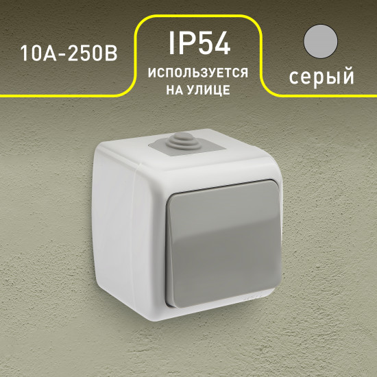 Выключатель одноклавишный