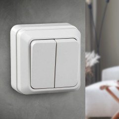 Выключатель двухклавишный - Фото 1