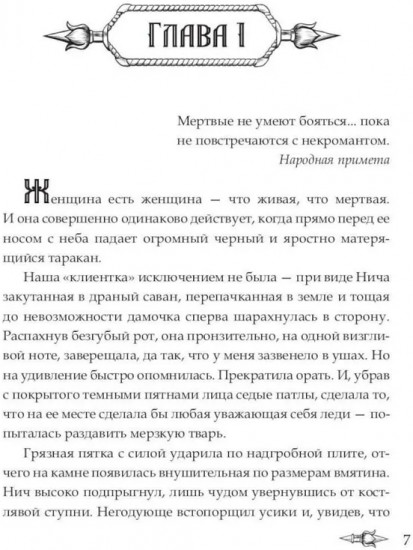 Мэтр. Магиня. Беглянка. Ученица боевого мага. Провидица. Комплект