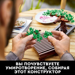 Конструктор Icons 10281 Бонсай - Фото 5