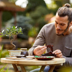 Конструктор Icons 10281 Бонсай - Фото 15