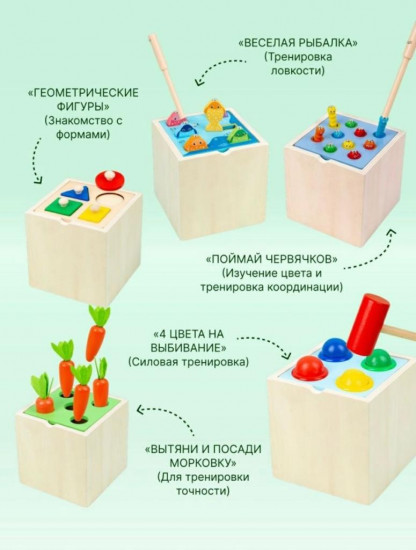 Сортер 5 в 1 «Монтессори»