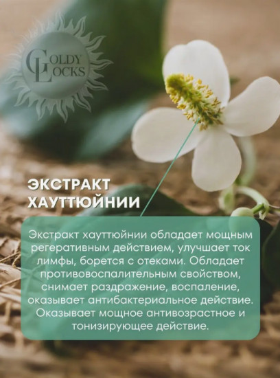 Маска для лица очищающая и успокаивающая «In The Forest Wash Off Pack»