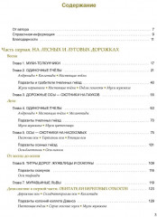 Насекомые лугов, полей и опушек - Фото 1