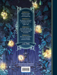 Сад фей. Книга 1. Хранительница - Фото 1