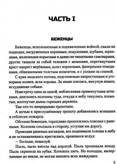 Сталинград. Дорога в никуда