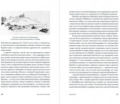 Взаимная помощь. Почему мы эволюционируем, помогая друг другу - Фото 11
