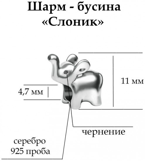 Шарм из серебра