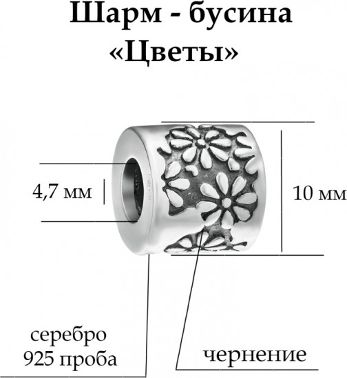 Шарм из серебра