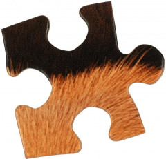 Пазл - Фото 4