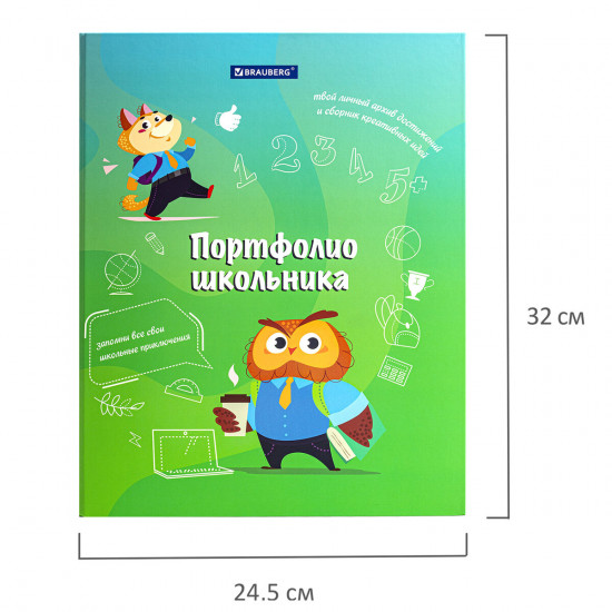 Папка-портфолио школьника