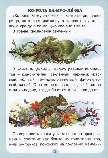 Кто, что и где самые-самые. Интересные рассказы
