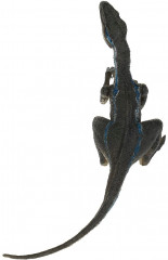 Динозавр - Фото 3