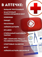 Аптечка портативная с медикаментами - Фото 1