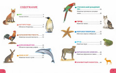 Где живут животные? От ленивца до тюленя, от акулы до оленя! - Фото 1