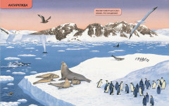 Где живут животные? От ленивца до тюленя, от акулы до оленя! - Фото 3