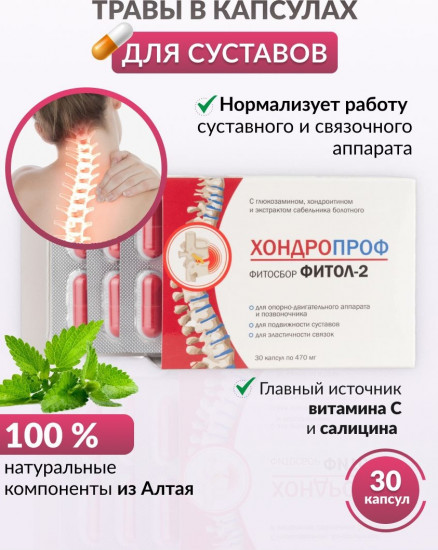 Капсулы для суставов «Фитол-2. Хондропроф»