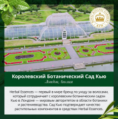 Шампунь «Глубокое восстановление» - Фото 6