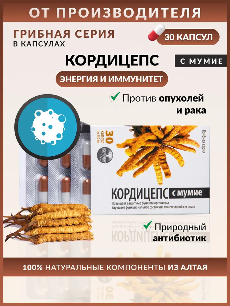 Капсулы «Кордицепс с мумие» | Алфит | Фото 1