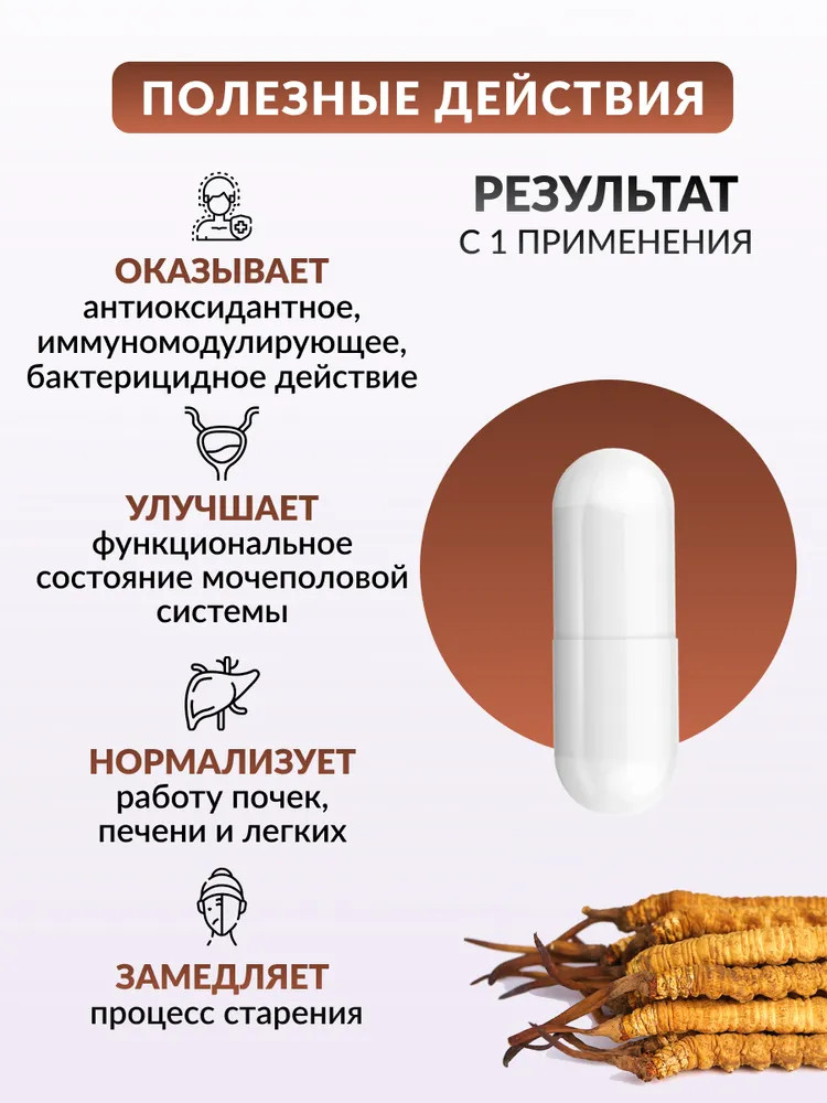 Капсулы «Кордицепс с мумие» | Алфит | Фото 2