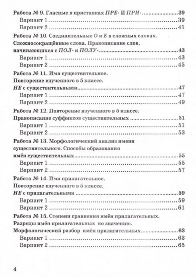 Русский язык. 6 класс. Зачётные работы