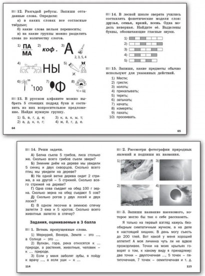 Олимпиадные и развивающие задания. 1-2 классы