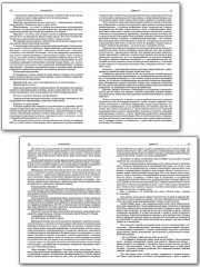 Русский язык. 10-11 класс. Справочник для подготовки к ЕГЭ - Фото 3