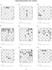 Эта книга научит решать шахматные задачи детей и родителей - Фото 9