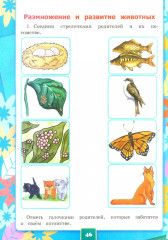 Окружающий мир. 3 класс. Рабочая тетрадь №1 к учебнику А. А. Плешакова - Фото 1