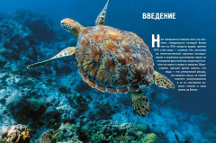Тайны морей и океанов - Фото 2