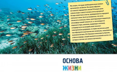 Тайны морей и океанов - Фото 4