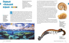 Тайны морей и океанов - Фото 5