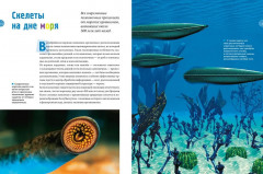 Тайны морей и океанов - Фото 7