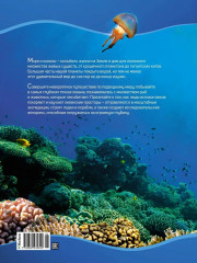 Тайны морей и океанов - Фото 9