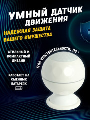 Датчик движения NAS-PD02W - Фото 1
