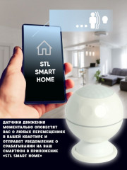 Датчик движения NAS-PD02W - Фото 2