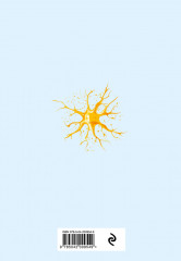 Блокнот анатомический «Последняя нервная клетка» - Фото 1