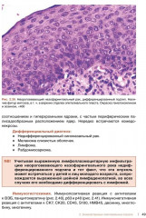 Морфологическая диагностика опухолей носа, околоносовых пазух и носоглотки. Руководство-атлас - Фото 7