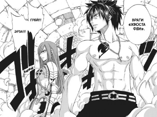 Fairy Tail. Том 22