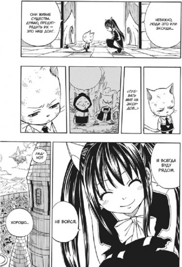 Fairy Tail. Том 22