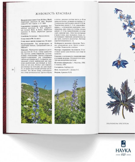 Сenturia plantarum rariorum Russiae meridionalis Ф.К. Биберштейна