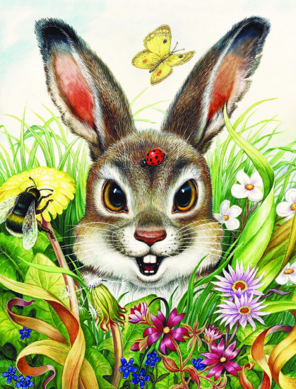 Сказки лесной опушки