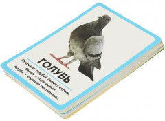 Карточки развивающие «Животные» - Фото 2