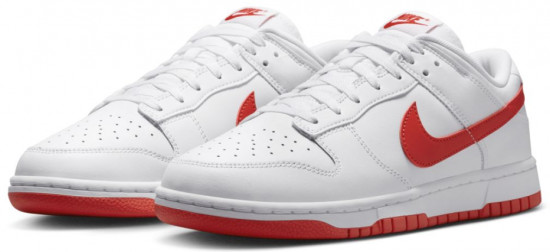Кроссовки мужские «Dunk Low Retro»