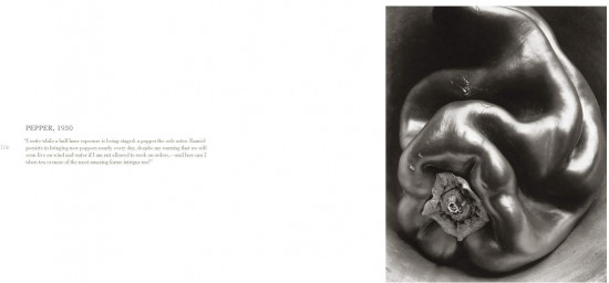 Edward Weston
