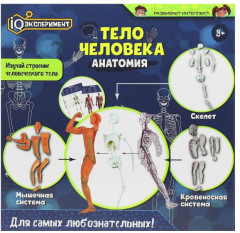 Набор для опытов «Тело человека. Анатомия» - Фото 4