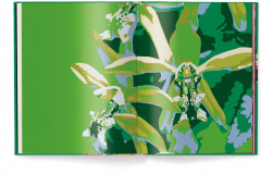 Orchids - Фото 6