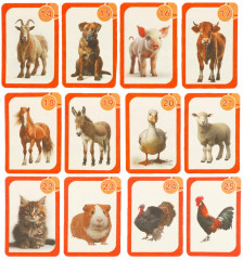 Игра карточная - мемо «Лесные животные. Домашние животные» - Фото 3